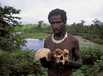 Bộ tộc ở trần, ăn thịt người, sống trên ngọn cây