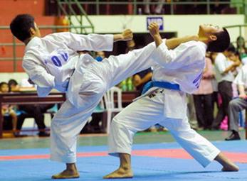 Karate Việt Nam không dự giải Istanbul mở rộng