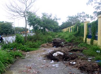 'Rừng hoang' trong lòng Thủ đô