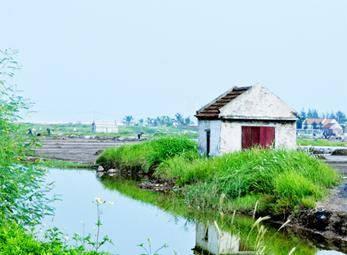 Những ngôi nhà nhỏ xinh ở cánh đồng muối