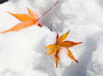 Mối tình “người nhỡ”