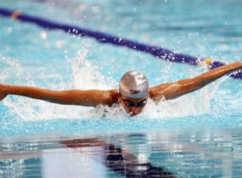 Nhiều VĐV hàng đầu tham dự giải bơi - lặn vô địch quốc gia