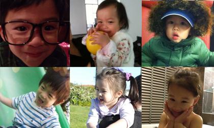 Thế hệ F1 dễ thương của làng sao Hoa ngữ