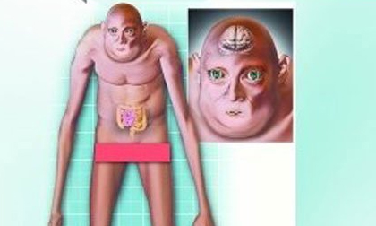 Hình ảnh kỳ quái của loài người 1000 năm sau