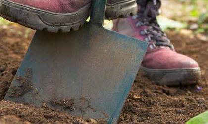 Người vợ dâm ác chôn chồng chung với xác chó