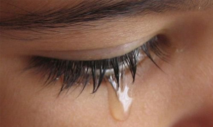 Chồng "thả dê" gái làng, vợ dập đầu xin lỗi