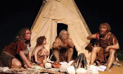 Món ăn khoái khẩu của tổ tiên loài người là gì?