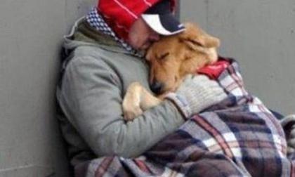 Những tấm ảnh chạm vào tim người xem (P.3)