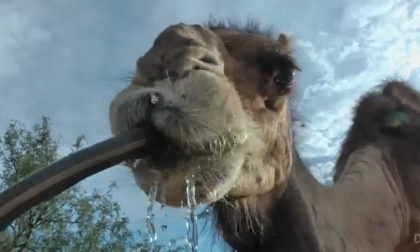 Tổng hợp những clip hot mới nhất trên Internet