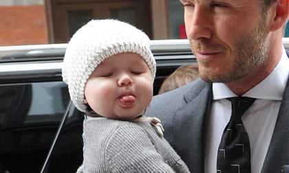 Harper thè lưỡi trêu Paparazzi