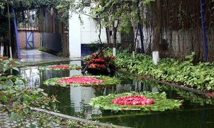 Choáng ngợp với "phòng học tình yêu" đầu tiên ở Hà Nội