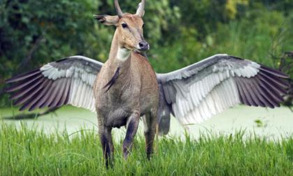 Chủ Nhật của bạn (11/3/2012)