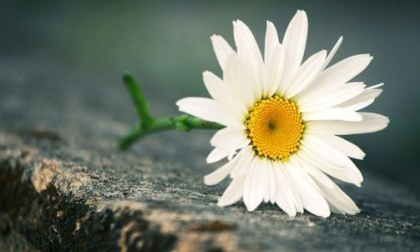 Thứ bảy của bạn (17/3)