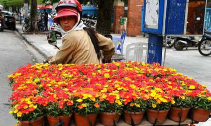 Khách Tây 'tròn mắt' với 'thời trang' lạ lùng của người Việt