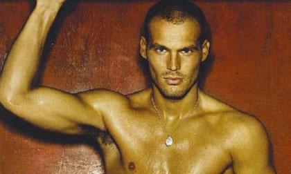 Ljungberg bị biến thành mồi nhử dân gay 