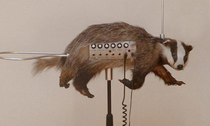 9 loại nhạc cụ lạ nhất thế giới