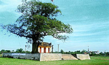 Vua cũng bị ép duyên?