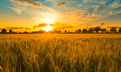 Tuần mới của bạn (2/4 - 8/4)