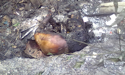 Quảng Ninh: Phát hiện thi thể đàn ông bị đốt cháy đen ở hố rác