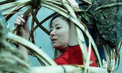 Lâm Tâm Như bị thả lồng trôi sông