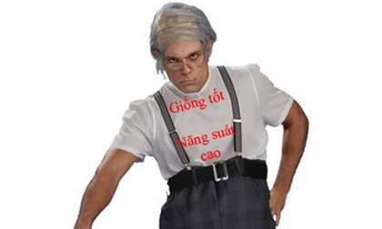 Giống tốt năng suất cao !