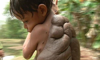 Đi t&#236;m lời giải cho những người h&#243;a r&#249;a