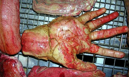 Rùng mình trước bánh mỳ mô phỏng cơ thể người