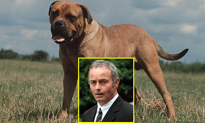 Người bị tố cáo quan hệ tình dục… với chó