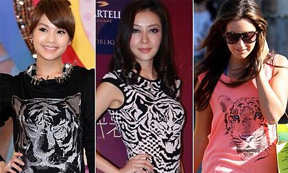 Họa tiết in hình báo đẹp như sao