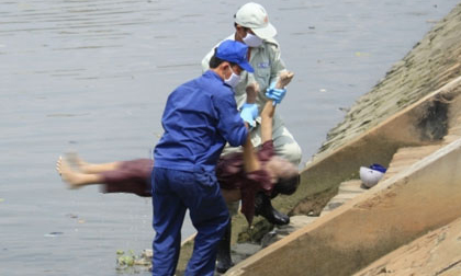 TP. HCM: Ph&#225;t hiện thi thể tr&#244;i tr&#234;n k&#234;nh