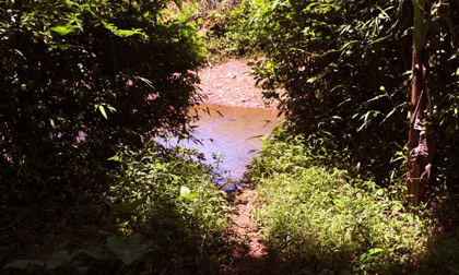 Lạ kỳ “giếng nước thần” của người Mường (kỳ 2)