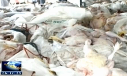 TPHCM: Bắt giữ hàng tấn thịt thối