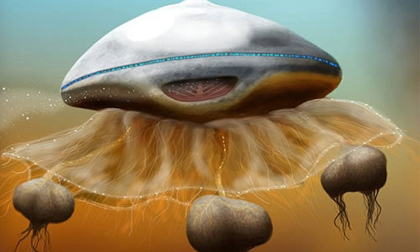 Người ngoài hành tinh trông giống sứa?