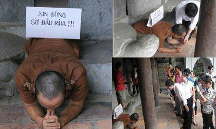 Họa sĩ trẻ quỳ xin đừng sờ đầu rùa