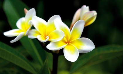 Thứ Sáu của bạn (3/8/2012)