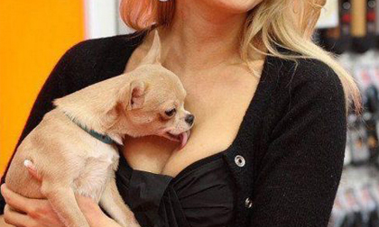 Những khoảnh khắc "cười ngủ" của động vật (P12)