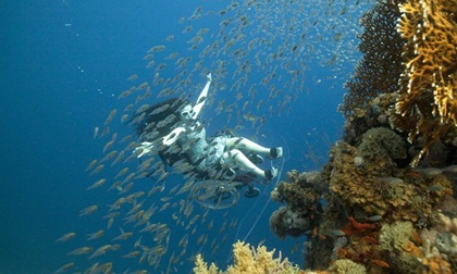 Video, ảnh: Khi&#234;u vũ với xe lăn dưới đ&#225;y đại dương