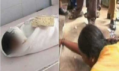 Kinh hoàng chuột gặm thi thể… bé sơ sinh