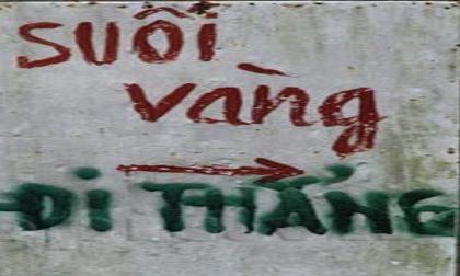 Ảnh 'độc' chỉ có ở Việt Nam