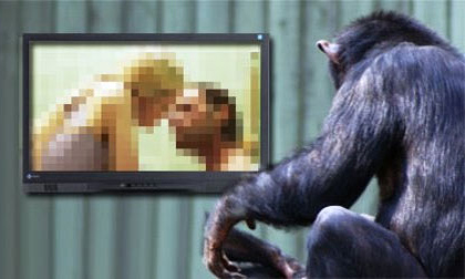 Con tinh tinh nghiện xem phim người lớn