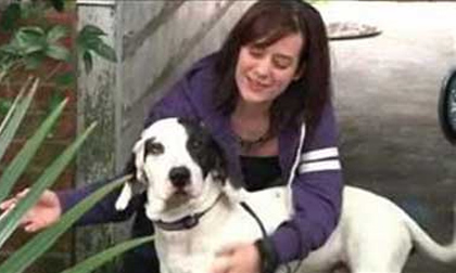 Chú chó bị tố tội hiếp dâm