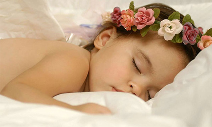 Cho một chuyến đi xuyên Việt an toàn và thoải mái ( P1)