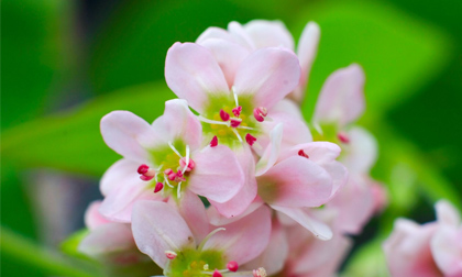 Thứ Sáu của bạn (25/10)