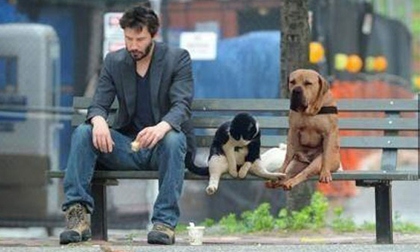 Chuyện chàng cô đơn mãi...