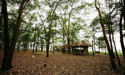 Những tour du lịch 'giá mềm' cuối tuần quanh Hà Nội