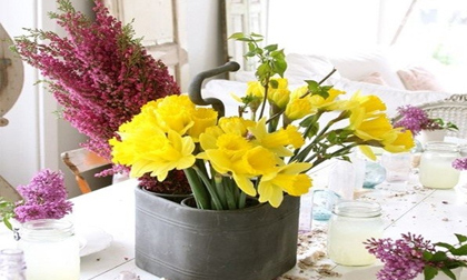 Chọn hoa phù hợp với từng không gian trong nhà