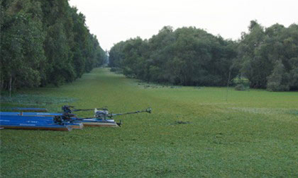 Sức quyến rũ của mùa nước nổi