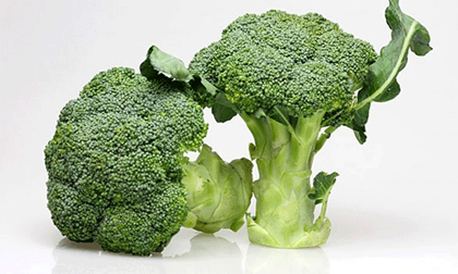 Lợi ích dinh dưỡng từ bông cải xanh