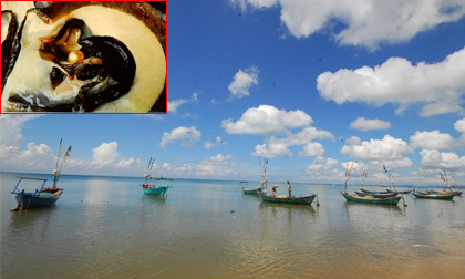 Cận cảnh nuôi trai lấy ngọc trên đảo Phú Quốc