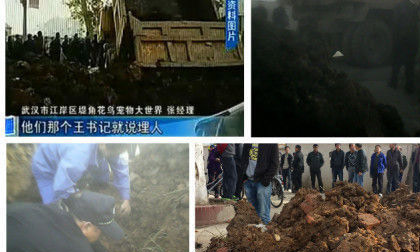 Rúng động vụ quan Trung Quốc chôn sống 5 người